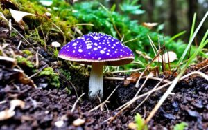 sinoblaszek trujący